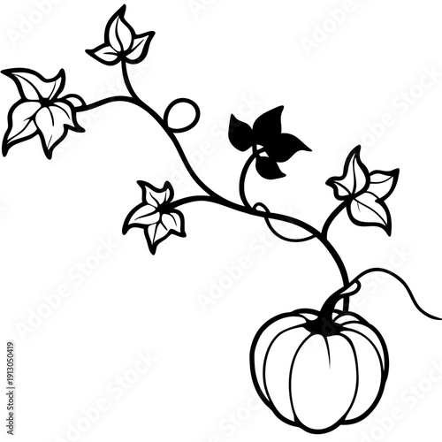 Pumpkin Vine with Yellow Flowers