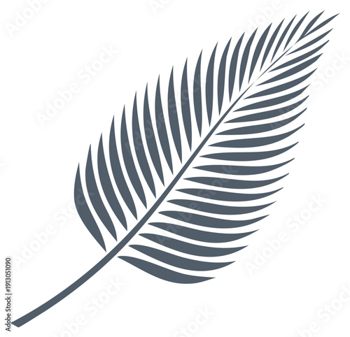 Stylized Gray Palm Frond Silhouette Tropical Foliage Design Element