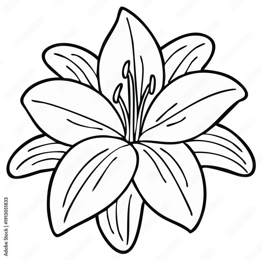 Obraz premium Minimalist black line art drawing of a blossoming lily flower showcasing elegant petals and prominent stamens