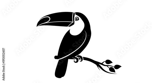 Black and white toucan bird profile.