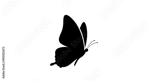 Black Butterfly Silhouette Flying Alone.