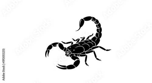 Black scorpion isolated on white background.