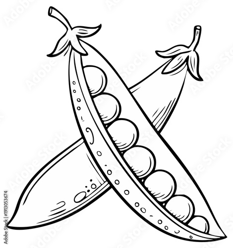 Hand drawn line art illustration of two crossed pea pods with seeds inside
