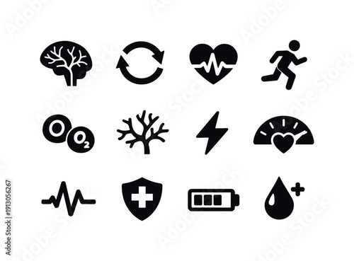   Blood flow to the brain. Filled icon set of Blood flow to the brain: brain arteries,