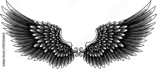 Vector illustration of ornate symmetrical wings symbolizing freedom, ascension, protection, fantasy, mythology, culture, education, and decorative design