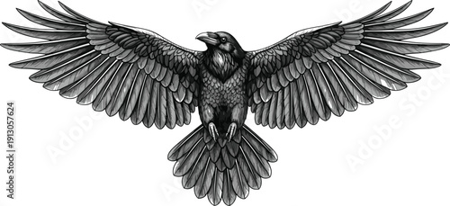 Vector illustration of raven in flight with extended wings symbolizing mystery, wisdom, gothic art, wildlife, culture, and education