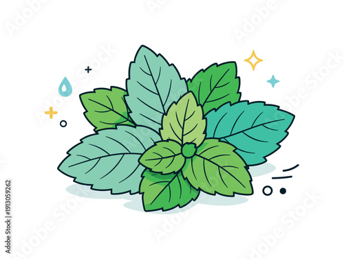    Mint leaves close up composition. Several mint leaves overlap slightly in a tidy, airy arrangement, highlighting organic shapes and softness.