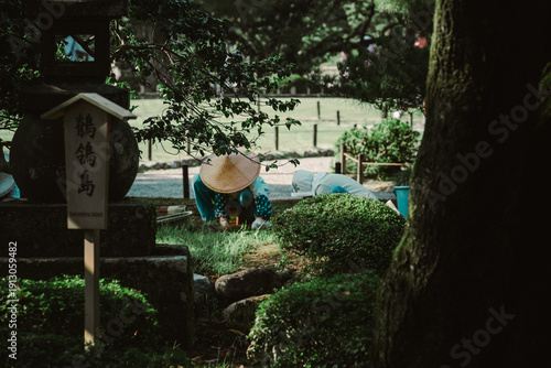 manin a garden
