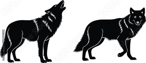 Wolf silhouette illustration, two black figures howling and standing alert, detailed fur outlines, wild animal vector design for decoration