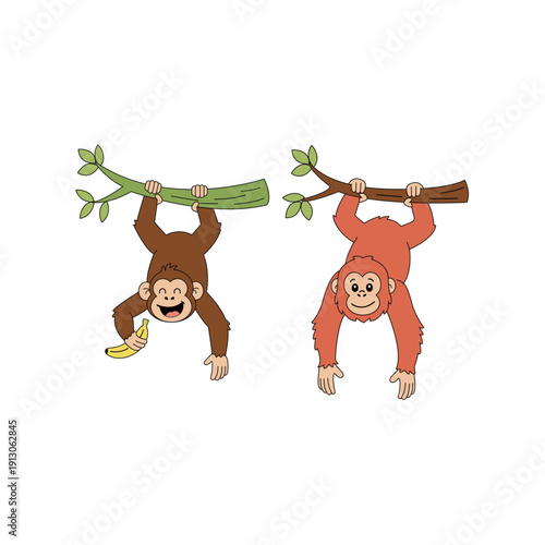 Two cute baby monkeys hanging and swinging on tree branches. Playful jungle animal cartoon characters vector illustration isolated on a white background.