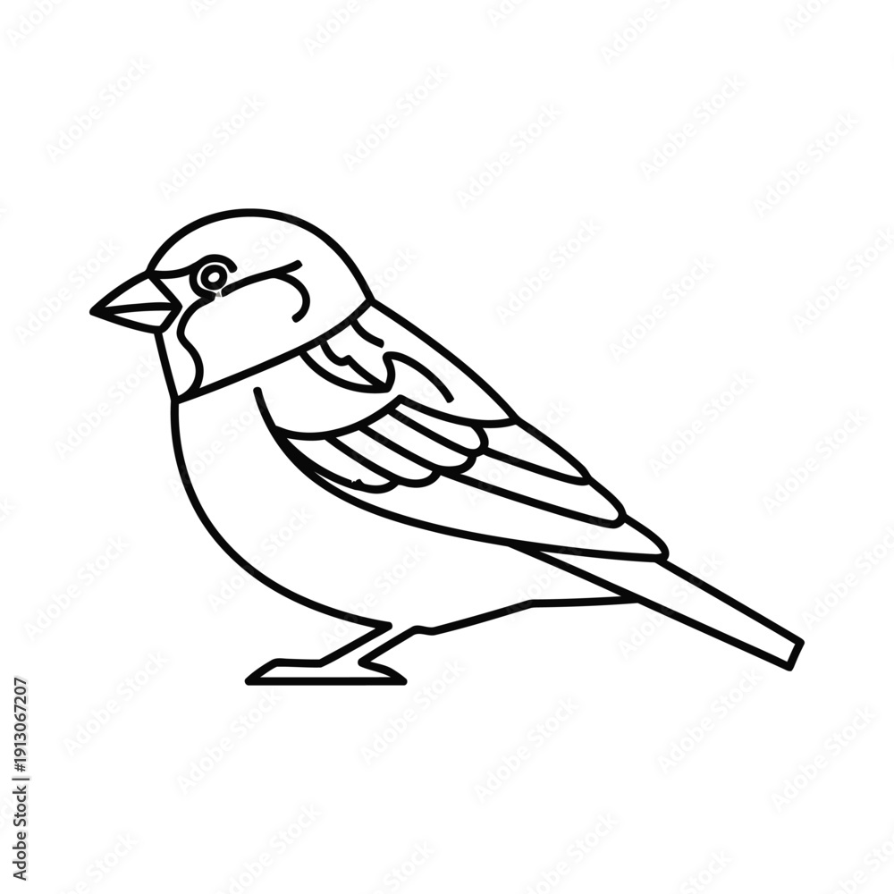 Fototapeta premium A black line drawing of a small bird standing on a plain white background viewed from the side