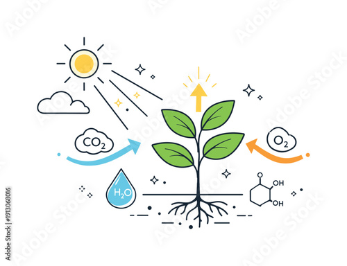 Plant sunlight absorption. A healthy plant reaching toward gentle sun rays, visualizing photosynthesis and natural energy flow in a calm