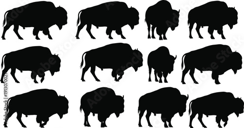 American bison silhouette set with buffalo side view collection isolated on white background for wildlife logo, western emblem and ranch design
