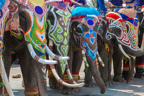 Printing colourful graphic  on the elephant body with large and long ivory.