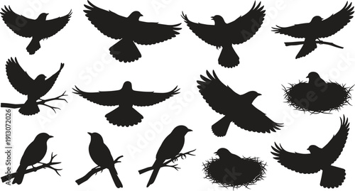 Crow silhouette set with flying, perched and nesting poses isolated on white background, black corvid bird vector collection for wildlife and logo design