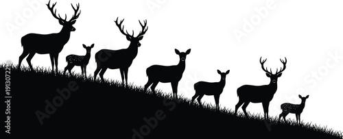 Deer family silhouette landscape on grassy hillside with stag, doe, and fawns isolated on white background, wildlife nature scene illustration for hunting and design