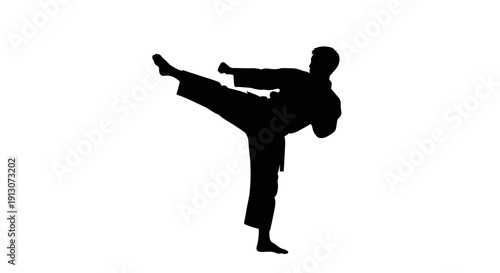 Man doing martial arts kick.