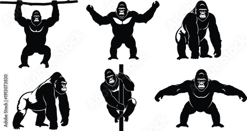 Gorilla silhouette collection in powerful poses isolated on white background, strong wild primate vector illustration set for wildlife logo and design