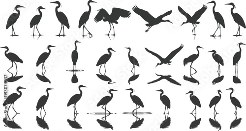 Heron silhouette collection in standing, walking, and flying poses with water reflections isolated on white background, elegant wading bird vector set for design