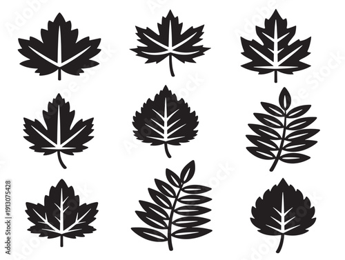 Botanical leaves collection with stunning detailed vein line art patterns