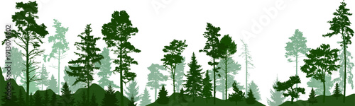 Forest silhouette trees. Vector illustration. Evergreen coniferous forest with pines, fir,  christmas tree, cedar. (Every tree isolated, separate from each other, free-standing)