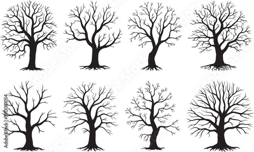 Set of bare winter trees with roots and branches on transparent background