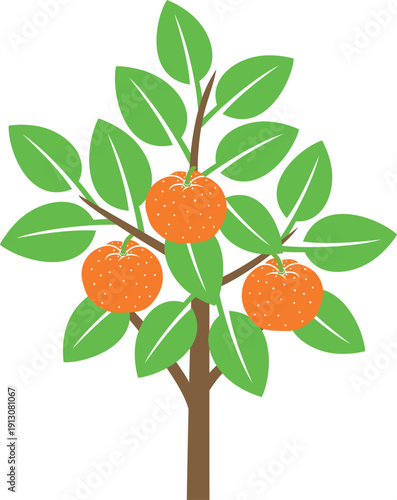 Mandarin tree logo. Isolated mandarin tree on white background