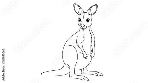 Detailed black and white outline drawing of a kangaroo, standing upright, ready for children to color and learn about Australian wildlife.