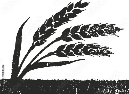 Black and white illustration of wheat stalks growing from ground with textured effect