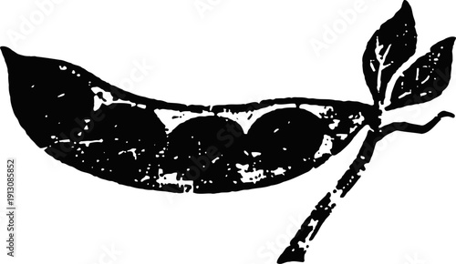 Black and white illustration of a pea pod with three peas and two leaves on a stem