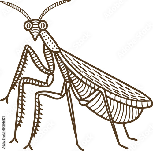 Intricate mantis insect line art illustration with detailed wings, antennae, and segmented legs design