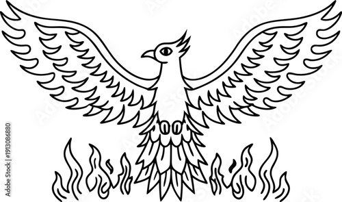 Phoenix rising from flames black line art mythical fire bird with spread wings and feathers fantasy symbol of rebirth and immortality