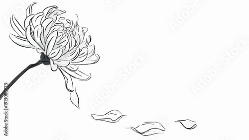 White Chrysanthemum Falling Petals Mourning Line Icon Vector