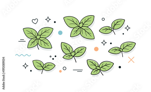 Minimalist Basil Arrangement. Basil leaves flat lay. Minimal basil leaves combined with small abstract shapes, viewed from above in an airy layout. The mood is