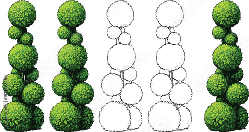 Topiary Bush Tree Collection Garden Shrub Sculpted Ornamental Green Vector Illustration Landscape Design Set
