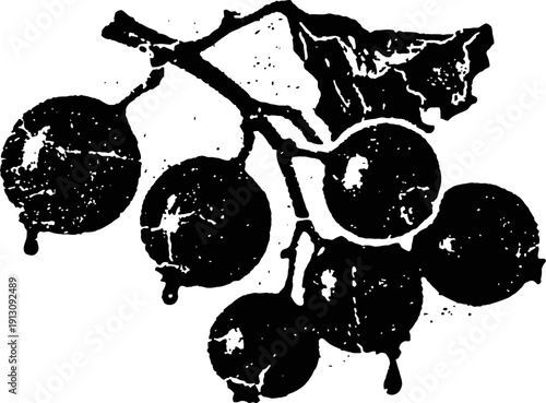 Blackcurrant berries silhouette with leaf on branch in vintage grunge illustration