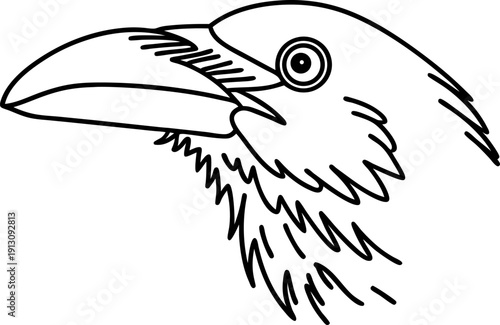 Close up black and white illustration of a toucan bird head with large beak and detailed feathers