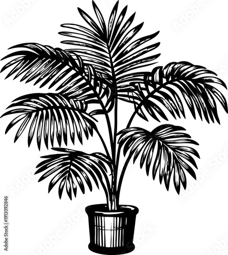 Potted palm plant illustration tropical houseplant with large fronds and detailed leaves in container