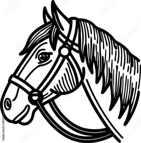 Horse head illustration with bridle black and white line art of equine portrait, animal drawing, traditional riding gear concept