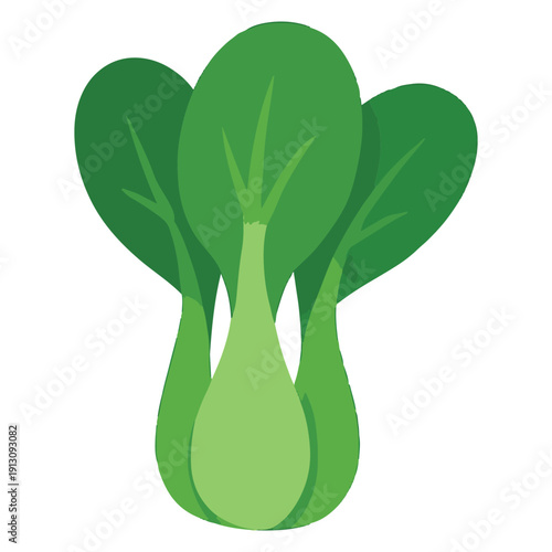 A fresh head of bok choy with white stems and green leaves. Ideal for Asian cuisine, healthy stir-fry, and leafy green graphics.