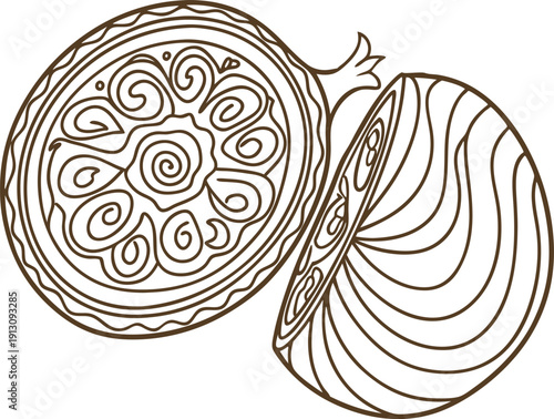 Pomegranate and onion outline drawing halved fruits with detailed seed and layer patterns simple brown line art illustration
