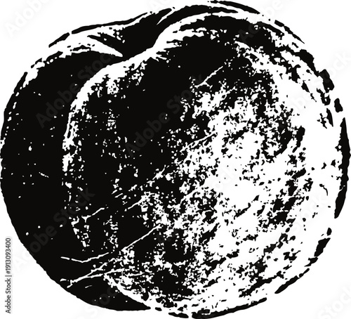 Black and white artistic illustration of a peach fruit with textured shading and detail