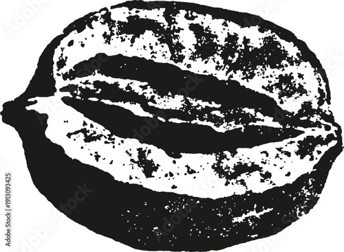 Detailed black and white coffee bean illustration with textured shading and realistic grain pattern