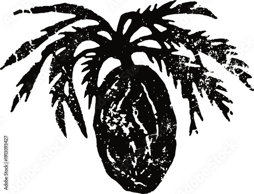 Black silhouette of cocoa pod with leaves tropical fruit icon illustration isolated on white