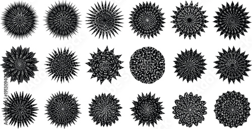 Abstract Floral Burst Collection Decorative Mandala Shapes Radial Ornament Black Vector Illustration Design Set