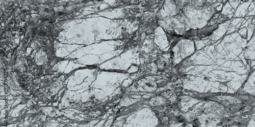 1maebal Detailed structure of abstract marble black and white(gray).White marble texture for background or tiles floor decorative design.	345