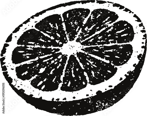 Black and white citrus fruit slice illustration with textured details and segments