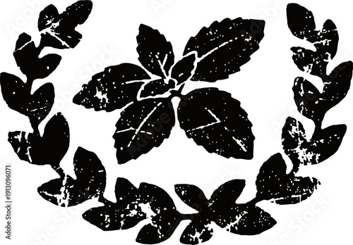 wreath of laurel leaves encircling sprig of mint leaves with textured vintage