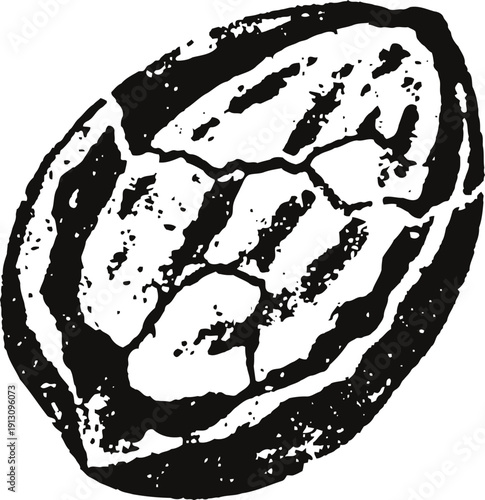 Black and white walnut half illustration hand drawn detailed kernel and shell nut graphic