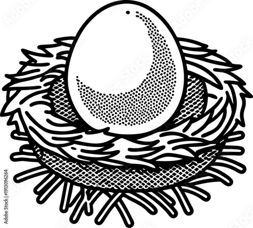 single bird egg resting in a detailed circular nest with textured shading and hatching